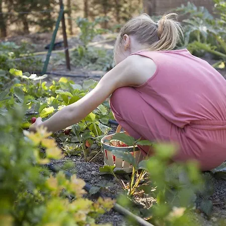 Ferienhaus Chateau De La Motte - Entre Narbonne Et Le Canal Du Midi Marcorignan