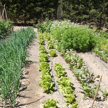 Chateau De La Motte - Entre Narbonne Et Le Canal Du Midi * Marcorignan