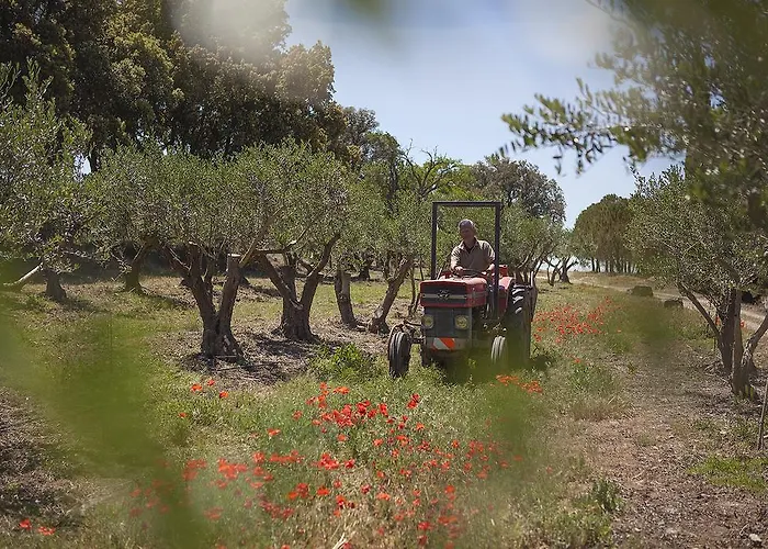 Ferienhaus Chateau De La Motte - Entre Narbonne Et Le Canal Du Midi *